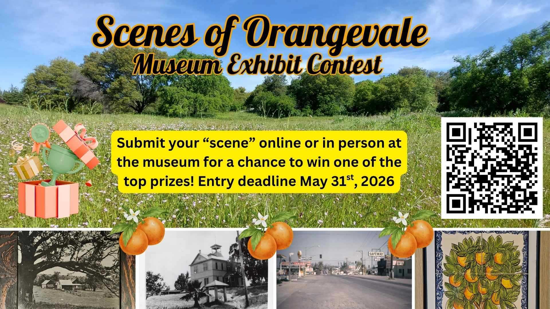 Submit your representation of OV